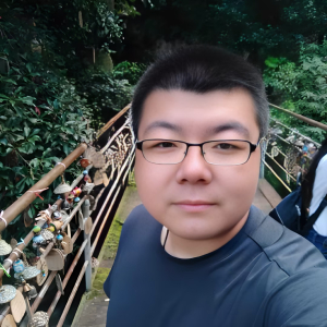 高空的似狮