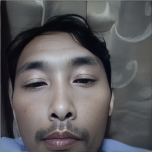 蓝瘦香菇A00